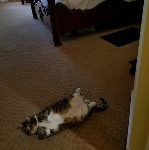 Meet your Posher, Sandy